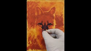 image not found